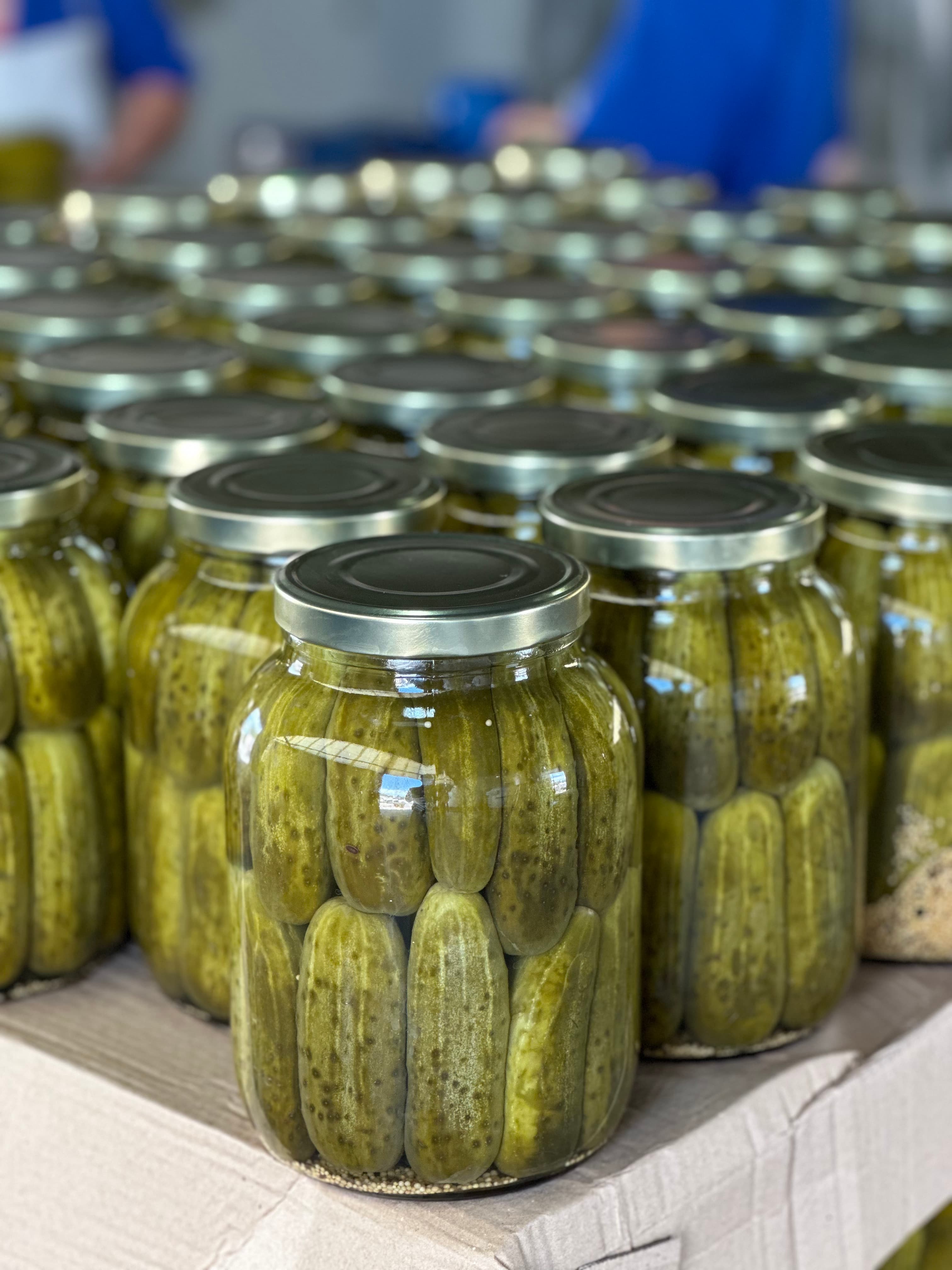 Variedad de frascos Meridiano listos para distribución